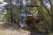 forestry drum mulcher | blue diamond