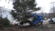 tree and post puller - heavy duty | blue diamond