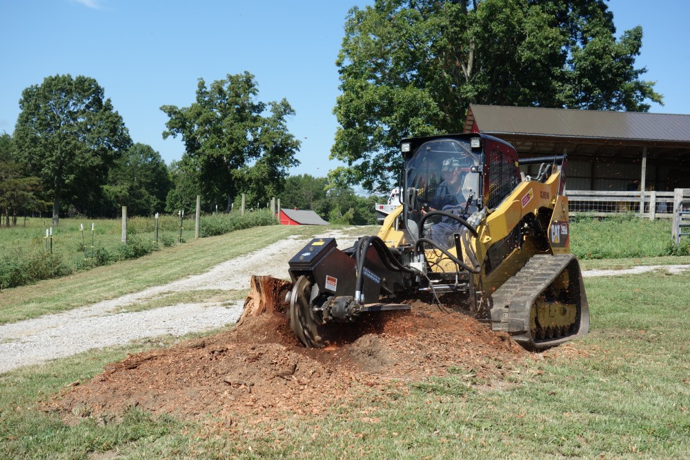 swing arm stump grinder - severe duty | blue diamond