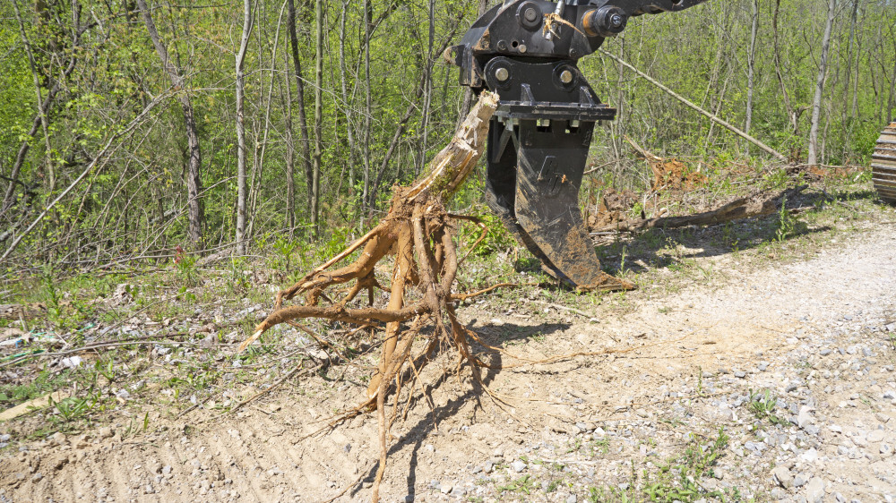 mini excavator tree grubber | blue diamond