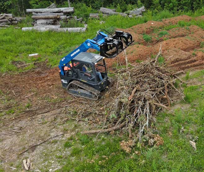 root grapple - hdx | blue diamond